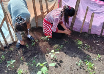 MAGA brinda asistencia técnica en Suchitepéquez