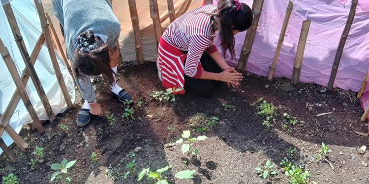 MAGA brinda asistencia técnica en Suchitepéquez