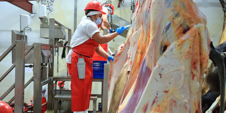 Gusano barrenador: Medidas sanitarias garantizan seguridad en productos de carne