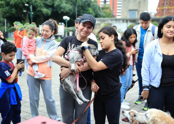 Realizan actividades para crear conciencia acerca de la resistencia a los antimicrobianos