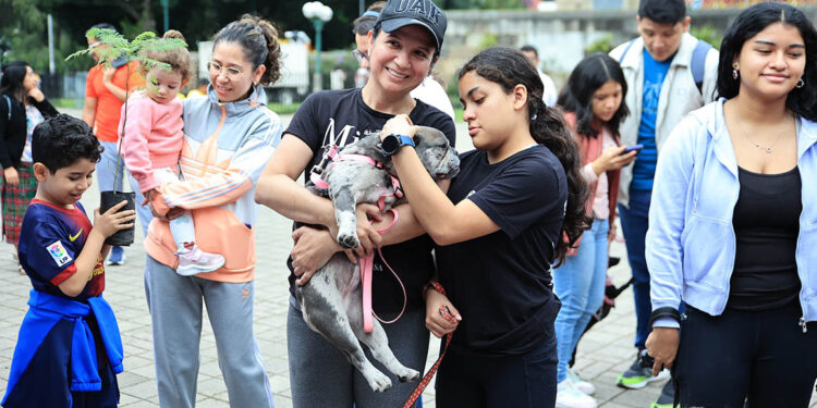 Realizan actividades para crear conciencia acerca de la resistencia a los antimicrobianos