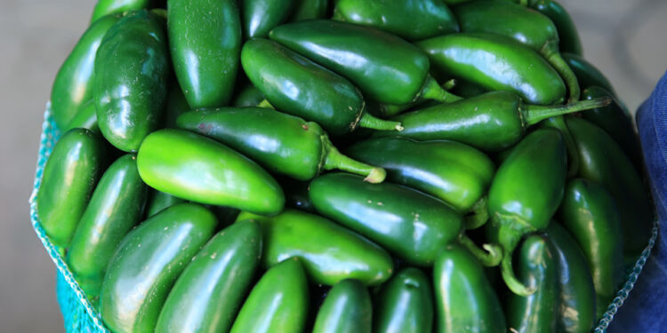 Un alimento picoso y rico en vitaminas