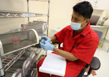 Un total de 13.8 millones de moscas estériles de gusano barrenador han sido dispersadas