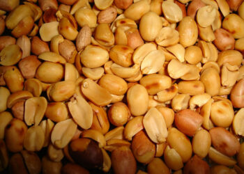 Una semilla que en todo el mundo se consume