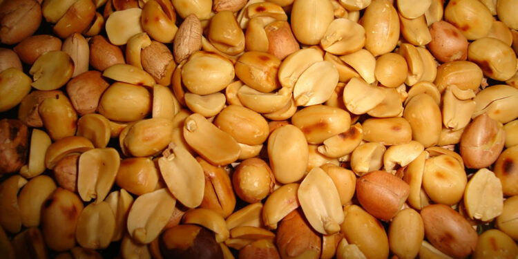 Una semilla que en todo el mundo se consume