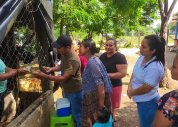 Vacunan a 200 aves en granjas de Poptún, Petén
