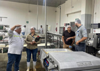 Velan por la inocuidad y calidad de los productos pesqueros