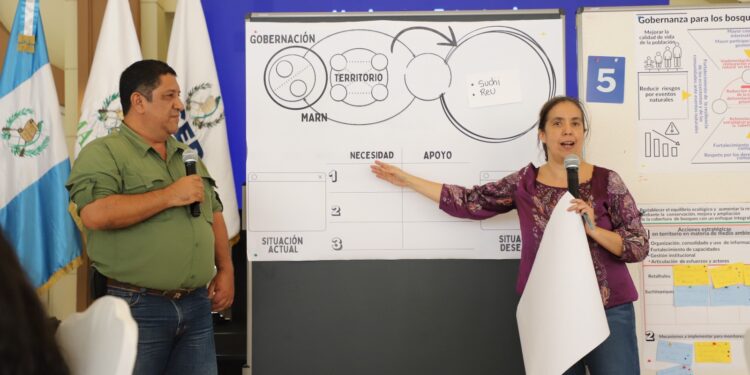 Gobernaciones departamentales participan en la construcción de la Estrategia Nacional de Bosques para garantizar un enfoque territorial