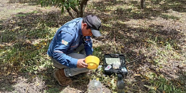 Acciones preventivas clave para evitar el ingreso de moscas de las frutas al país