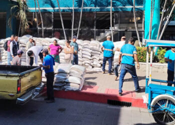 Agricultores de Quetzaltenango y San Marcos fortalecen producción gracias al Bono Campesino