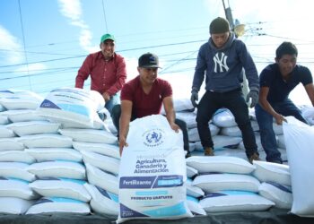 Bono Campesino apoya cultivo de hortalizas