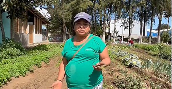 Bono Campesino impulsa la agricultura familiar en El Tejar, Chimaltenango