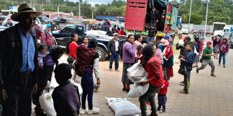 Bono Campesino llega a familias de San Marcos