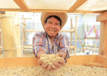 Camas africanas para el secado de café