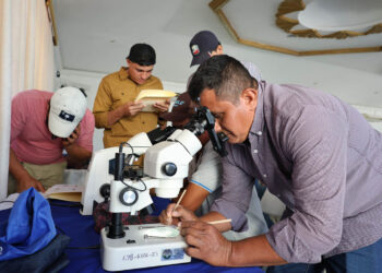 Capacitación para control de plaga del Trips en cultivo de frijol