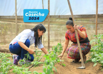 Capacitamos a más de 30 mil personas en seguridad alimentaria y desarrollo sostenible