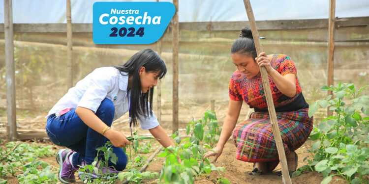Capacitamos a más de 30 mil personas en seguridad alimentaria y desarrollo sostenible