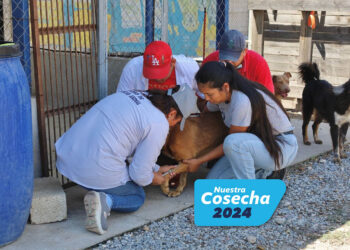 Compromiso con la protección y bienestar de los animales