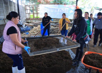 Conozca cuál es el abono Bokashi