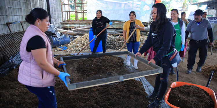 Conozca cuál es el abono Bokashi