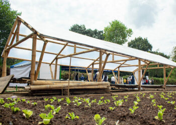 Conozca qué es la Casa Maya