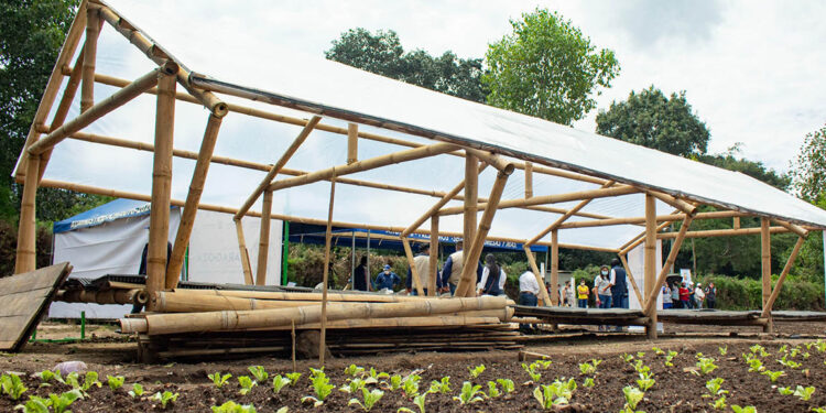 Conozca qué es la Casa Maya