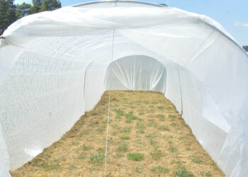 Conozca qué son los Microtúneles