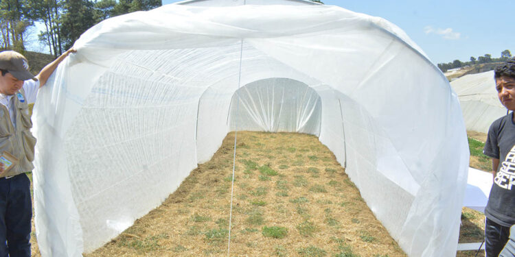 Conozca qué son los Microtúneles