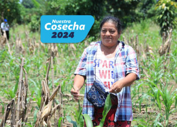 El Seguro Agropecuario respalda la producción de las y los agricultores