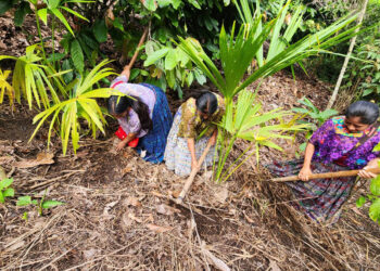 Familias de Cahabón y Huehuetenango reciben alimentos por acciones