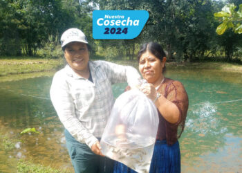 Incrementamos en 64% la producción de alevines