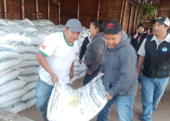 Las familias crecen con el Bono Campesino, con trabajo y tierra fértil