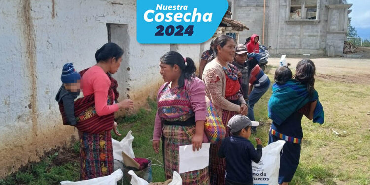 Marruecos donó 200 toneladas de fertilizantes que beneficiaron a cinco mil agricultores