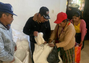Mas de 18 mil familias reciben alimentos por acciones comunitarias