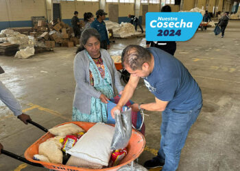 Más de 600 mil familias recibieron asistencia alimentaria en todo el país