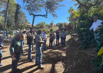 Pequeños cafetaleros capacitados en taller de calidad y postcosecha