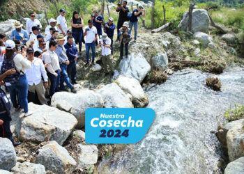 Política Nacional de Riego incrementará producción agrícola