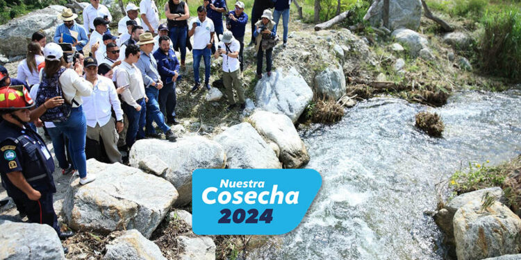 Política Nacional de Riego incrementará producción agrícola