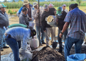 Productores concluyen diplomado de fortalecimiento de la cadena de cultivo de la papa