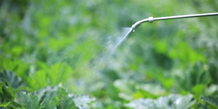 Qué son los insecticidas naturales