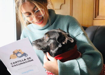 Recomendaciones para resguardar sus mascotas en las fiestas de fin de año