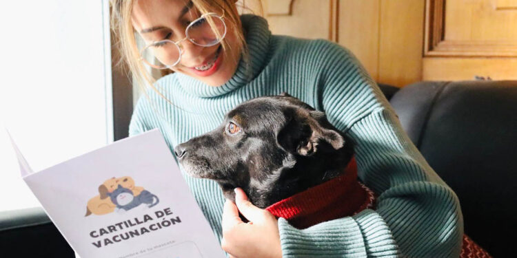 Recomendaciones para resguardar sus mascotas en las fiestas de fin de año