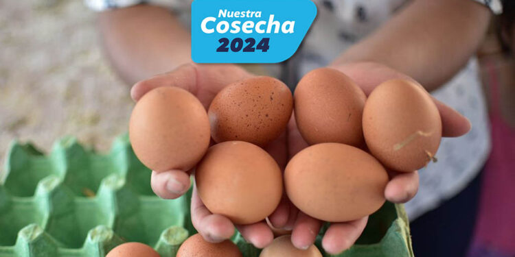 Se impulsa la inocuidad y calidad del huevo en toda la cadena productiva