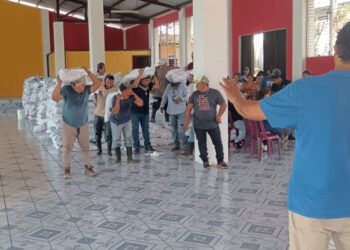 Semillas y fertilizantes para mejores cosechas gracias al Bono Campesino