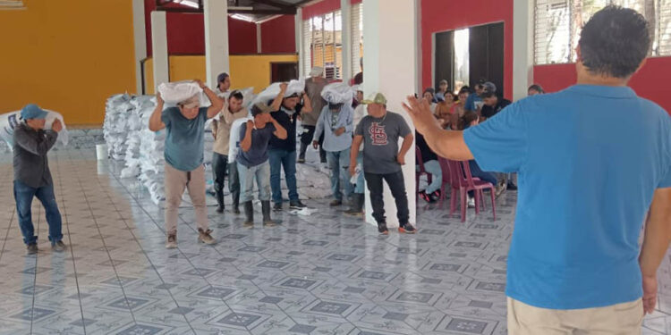 Semillas y fertilizantes para mejores cosechas gracias al Bono Campesino