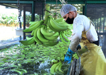 Una fruta rica en potasio
