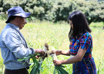 Una hortaliza para una dieta equilibrada
