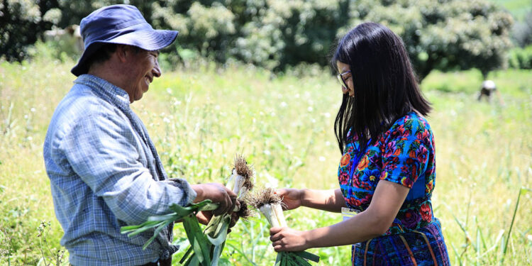 Una hortaliza para una dieta equilibrada