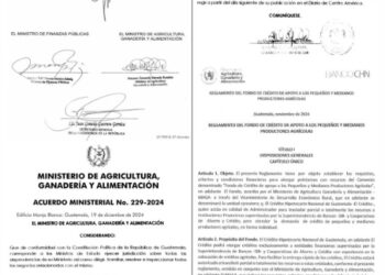 Fondo de Crédito de Apoyo a productores agrícolas es una realidad