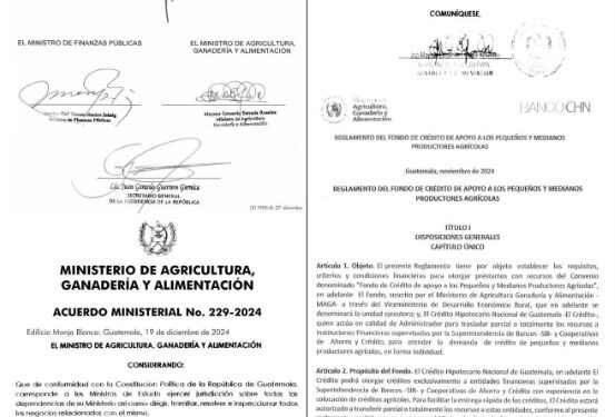 Fondo de Crédito de Apoyo a productores agrícolas es una realidad